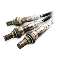Autonitas